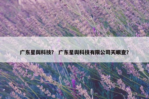 广东星舆科技？ 广东星舆科技有限公司天眼查？