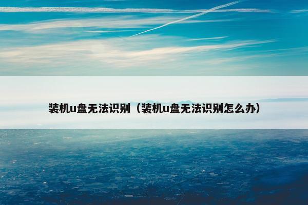 装机u盘无法识别（装机u盘无法识别怎么办）