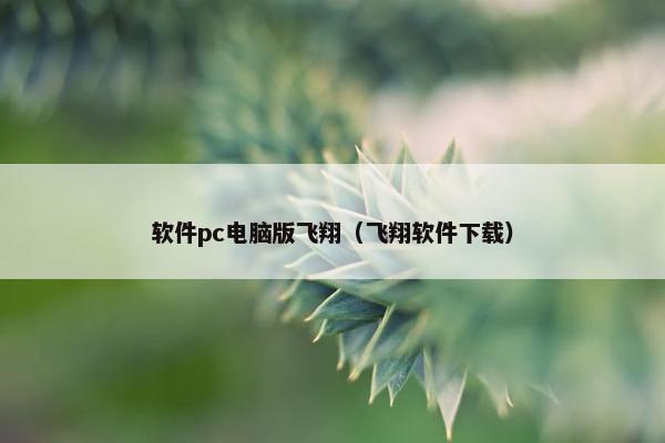 软件pc电脑版飞翔（飞翔软件下载）