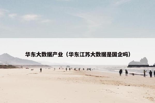 华东大数据产业（华东江苏大数据是国企吗）