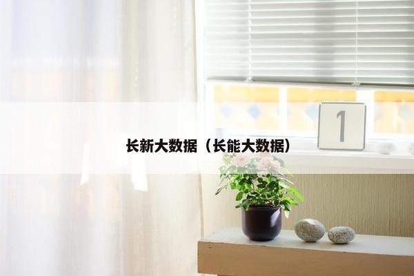 长新大数据（长能大数据）