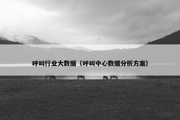 呼叫行业大数据（呼叫中心数据分析方案）