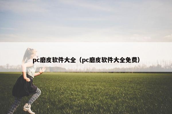 pc磨皮软件大全（pc磨皮软件大全免费）