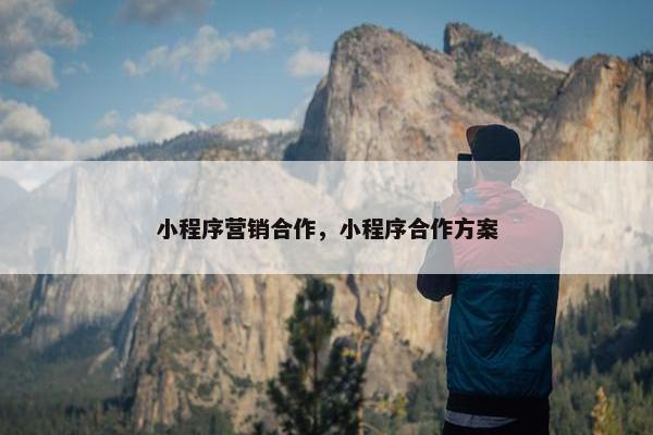 小程序营销合作，小程序合作方案