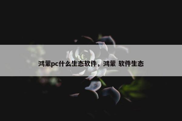 鸿蒙pc什么生态软件，鸿蒙 软件生态