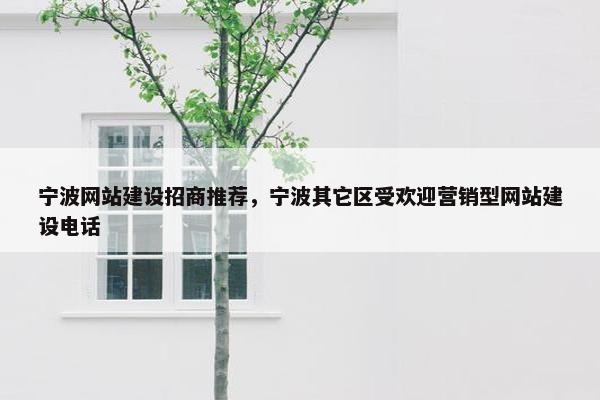 宁波网站建设招商推荐，宁波其它区受欢迎营销型网站建设电话