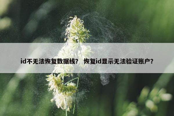 id不无法恢复数据线？ 恢复id显示无法验证账户？