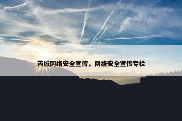 芮城网络安全宣传，网络安全宣传专栏