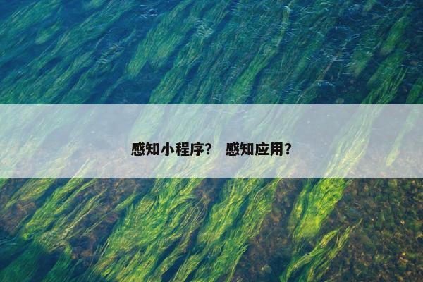 感知小程序？ 感知应用？