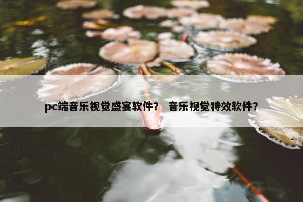 pc端音乐视觉盛宴软件？ 音乐视觉特效软件？