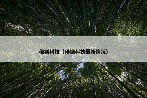 稀镁科技（稀镁科技最新情况）