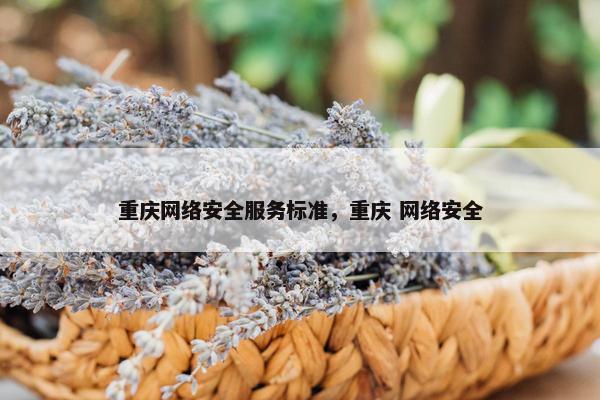 重庆网络安全服务标准，重庆 网络安全