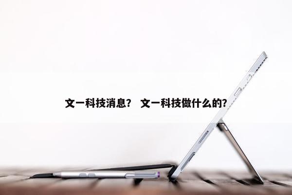 文一科技消息？ 文一科技做什么的？