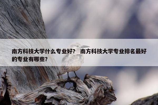 南方科技大学什么专业好？ 南方科技大学专业排名最好的专业有哪些？