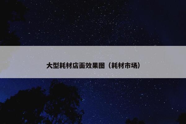 大型耗材店面效果图（耗材市场）