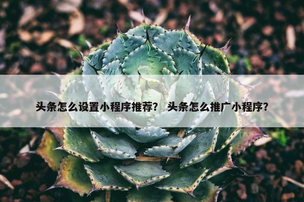头条怎么设置小程序推荐？ 头条怎么推广小程序？
