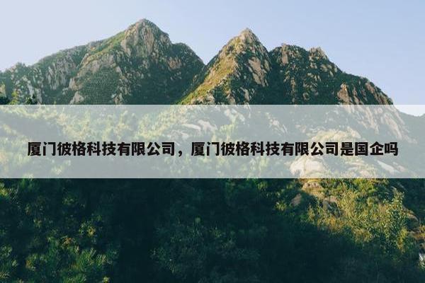 厦门彼格科技有限公司，厦门彼格科技有限公司是国企吗