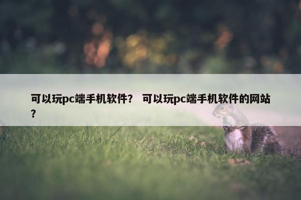 可以玩pc端手机软件？ 可以玩pc端手机软件的网站？