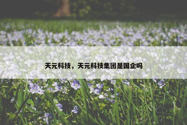 天元科技，天元科技集团是国企吗