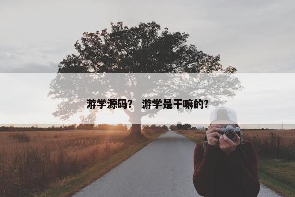 游学源码？ 游学是干嘛的？