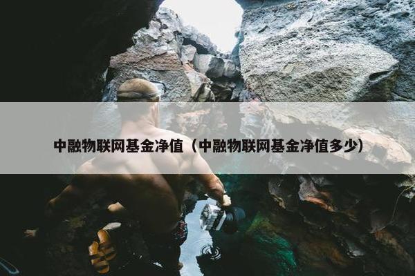 中融物联网基金净值（中融物联网基金净值多少）