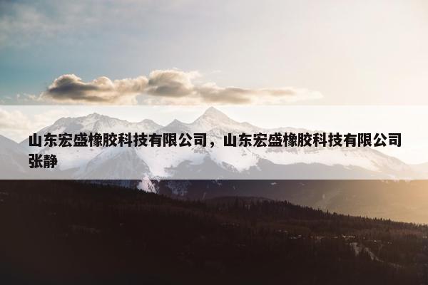 山东宏盛橡胶科技有限公司，山东宏盛橡胶科技有限公司张静