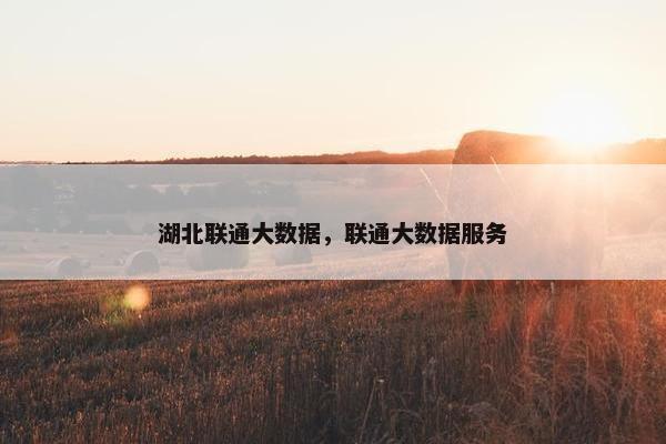 湖北联通大数据，联通大数据服务