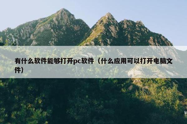 有什么软件能够打开pc软件（什么应用可以打开电脑文件）