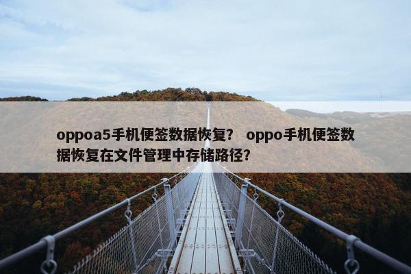oppoa5手机便签数据恢复？ oppo手机便签数据恢复在文件管理中存储路径？