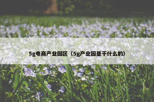 5g电商产业园区（5g产业园是干什么的）