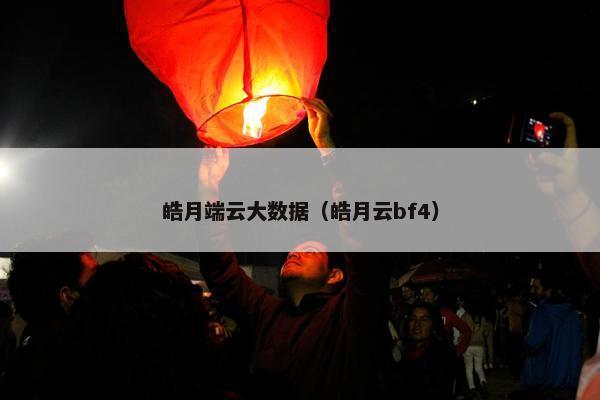 皓月端云大数据（皓月云bf4）