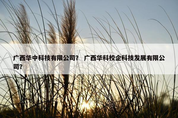 广西华中科技有限公司？ 广西华科校企科技发展有限公司？