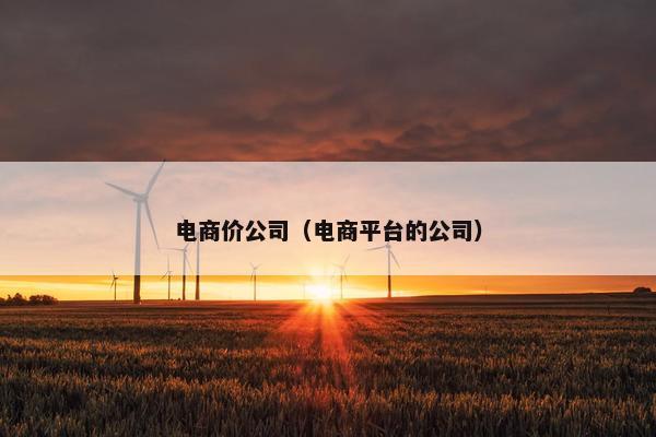 电商价公司（电商平台的公司）