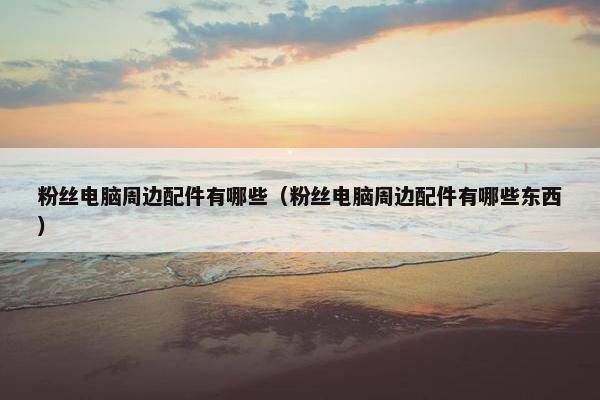 粉丝电脑周边配件有哪些（粉丝电脑周边配件有哪些东西）