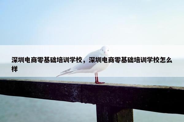 深圳电商零基础培训学校，深圳电商零基础培训学校怎么样