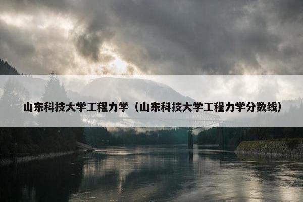 山东科技大学工程力学（山东科技大学工程力学分数线）