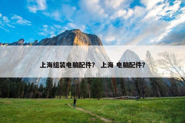 上海组装电脑配件？ 上海 电脑配件？