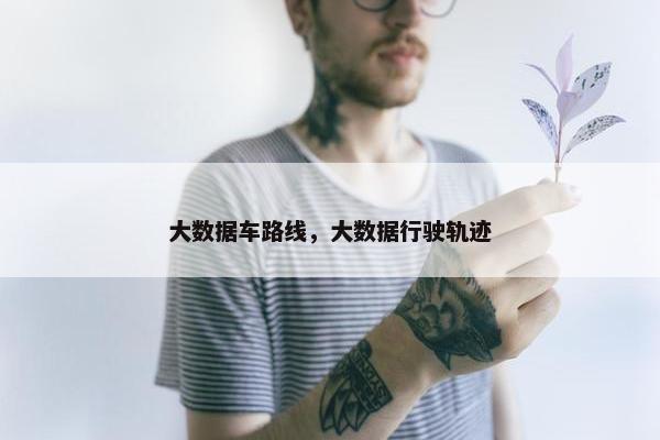 大数据车路线，大数据行驶轨迹