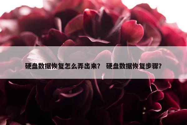 硬盘数据恢复怎么弄出来？ 硬盘数据恢复步骤？
