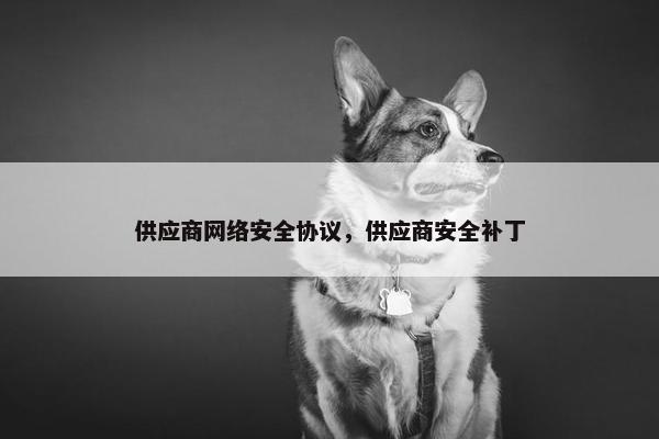 供应商网络安全协议，供应商安全补丁
