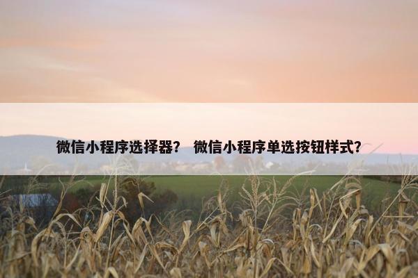 微信小程序选择器？ 微信小程序单选按钮样式？