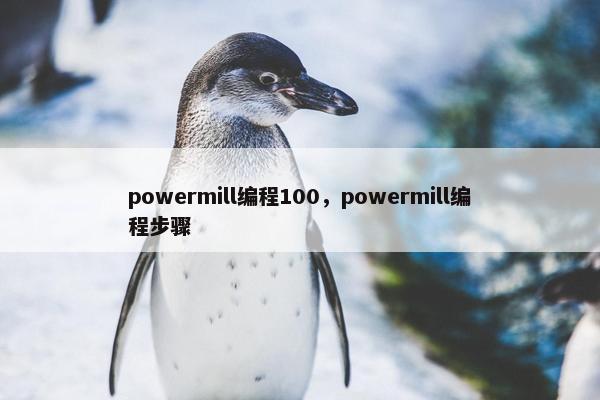 powermill编程100，powermill编程步骤