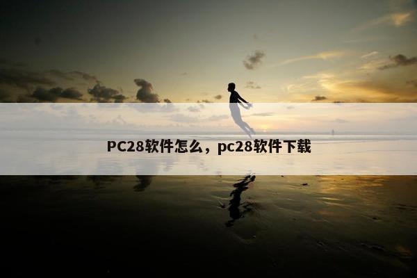 PC28软件怎么，pc28软件下载