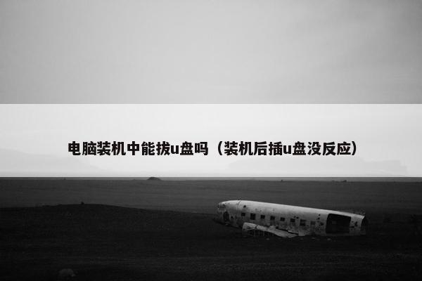 电脑装机中能拔u盘吗（装机后插u盘没反应）