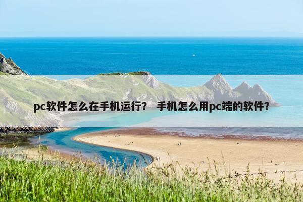 pc软件怎么在手机运行？ 手机怎么用pc端的软件？