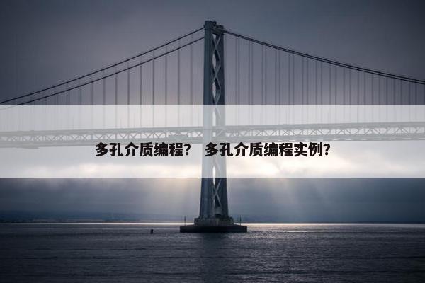 多孔介质编程？ 多孔介质编程实例？