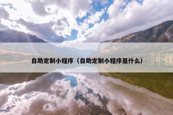 自助定制小程序（自助定制小程序是什么）