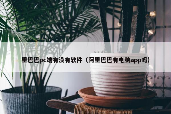 里巴巴pc端有没有软件（阿里巴巴有电脑app吗）