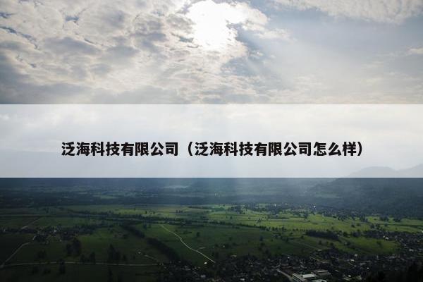 泛海科技有限公司（泛海科技有限公司怎么样）