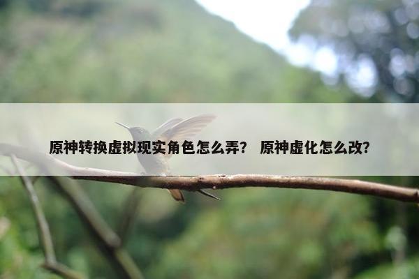 原神转换虚拟现实角色怎么弄？ 原神虚化怎么改？